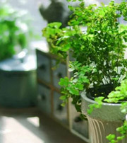 抚顺专属于你的开运指南，助你鸿运当头福满身！